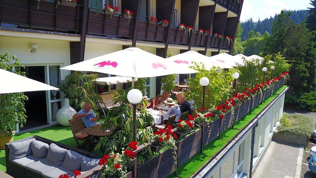 Wellness Hotel Green Paradise Pirkenhammer Eksteriør billede